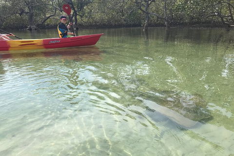 2-Hour Rental Kayak Double In Brunswick River - Newcastle Accommodation 6