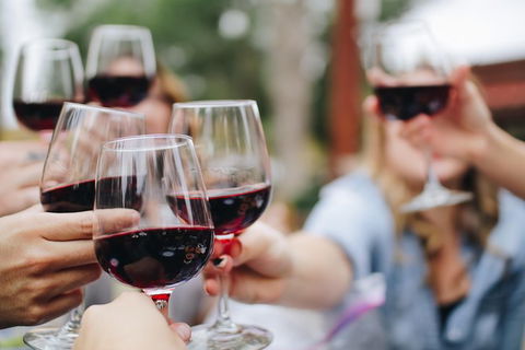 Six Hour - Plan Your Own Wine And Cheese Tour Hunter Valley - New Castle Tourism 8
