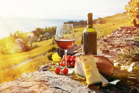 Six Hour - Plan Your Own Wine And Cheese Tour Hunter Valley - New Castle Tourism 0