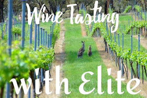 Six Hour - Plan Your Own Wine And Cheese Tour Hunter Valley - New Castle Tourism 7