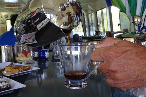 Byron Bay Rainforest Eco-Cruise - Newcastle Accommodation 4
