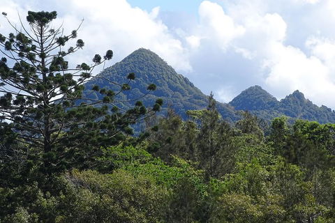 Byron Bay Rainforest Eco-Cruise - Newcastle Accommodation 3