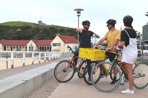 Newcastle Half-Day Bike Tour With Lunch - New Castle Tourism 3