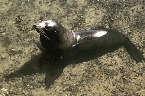 South Coast Photography Field Day - Newcastle Accommodation 5