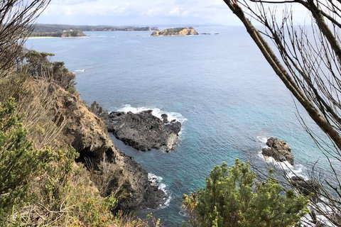 South Coast Photography Field Day - Newcastle Accommodation 8