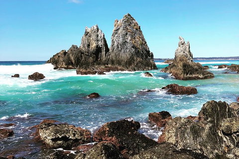 South Coast Photography Field Day - Newcastle Accommodation 0