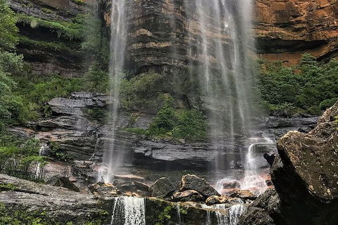 Private 10-hour Tour To Blue Mountains From Sydney - Hotel Pick Up & Drop Off - New Castle Tourism 3