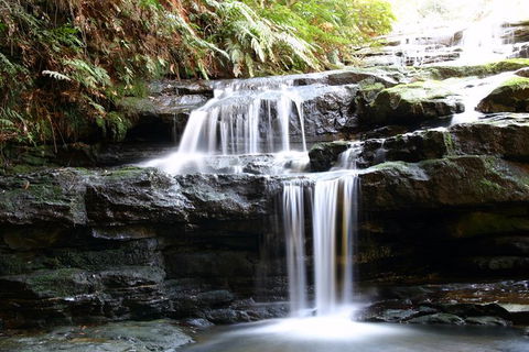 Private 10-hour Tour To Blue Mountains From Sydney - Hotel Pick Up & Drop Off - New Castle Tourism 6