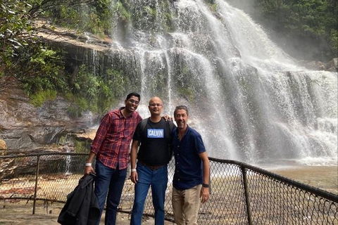 Blue Mountains Highlights & Wildlife Park - Newcastle Accommodation 4