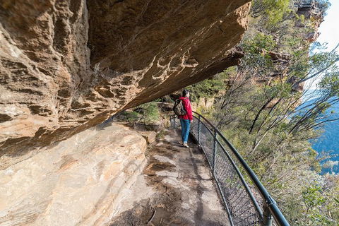 Blue Mountains Highlights & Wildlife Park - Newcastle Accommodation 0