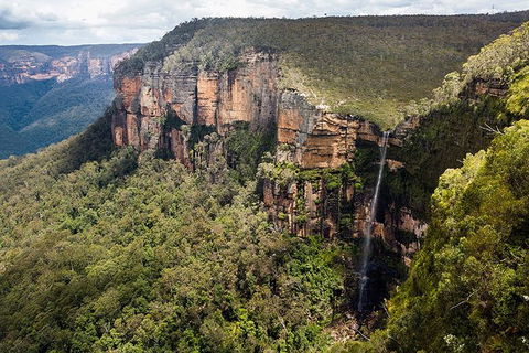 Blue Mountains Highlights & Wildlife Park - Newcastle Accommodation 9