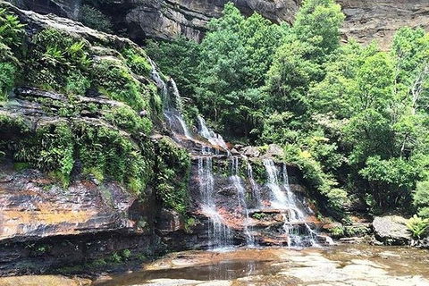 Blue Mountains Highlights & Wildlife Park - Newcastle Accommodation 8