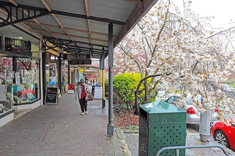 Blue Mountains Highlights, Wildlife Park And Scenic World Full Day Private Tour - New Castle Tourism 2