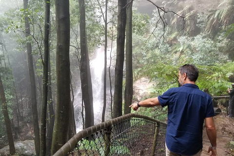 Blue Mountains Highlights, Wildlife Park And Scenic World Full Day Private Tour - New Castle Tourism 6