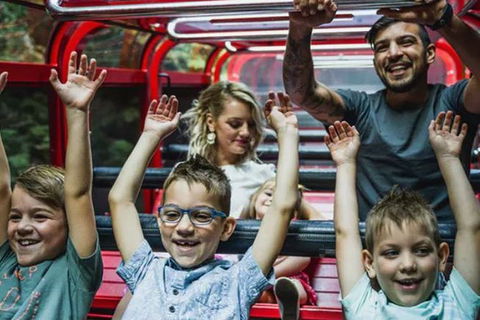 Blue Mountains Highlights, Wildlife Park And Scenic World Full Day Private Tour - New Castle Tourism 5