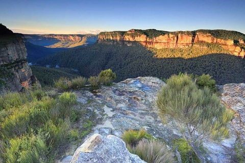 Blue Mountains Highlights, Wildlife Park And Scenic World Full Day Private Tour - New Castle Tourism 4