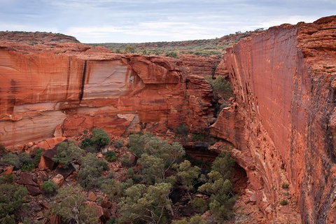 Uluru, Kata Tjuta And Kings Canyon Camping Safari From Alice Springs - Newcastle Accommodation 4