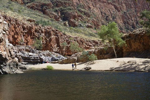 Full-Day West MacDonnell Ranges Tour From Alice Springs - Newcastle Accommodation 2