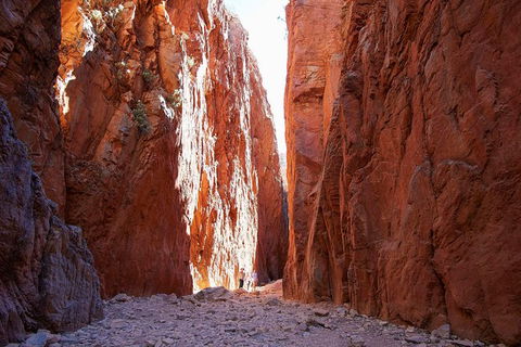 Best Of Alice Springs Full Day Tour - New Castle Tourism 6