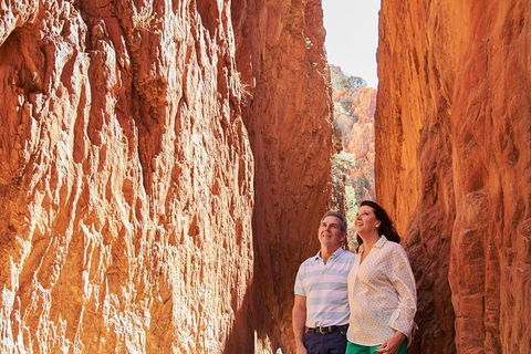 Best Of Alice Springs Full Day Tour - New Castle Tourism 4