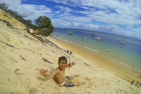 All Inclusive Dolphin And Tangalooma Wrecks Cruise - Newcastle Accommodation 1