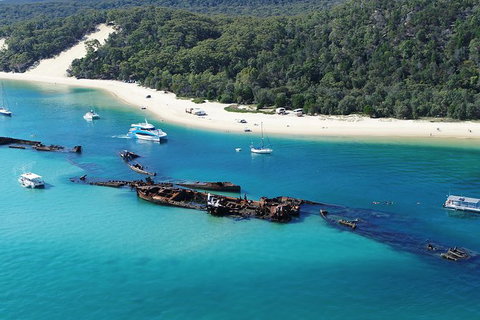 All Inclusive Dolphin And Tangalooma Wrecks Cruise - Newcastle Accommodation 2