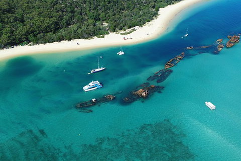 All Inclusive Dolphin And Tangalooma Wrecks Cruise - Newcastle Accommodation 3