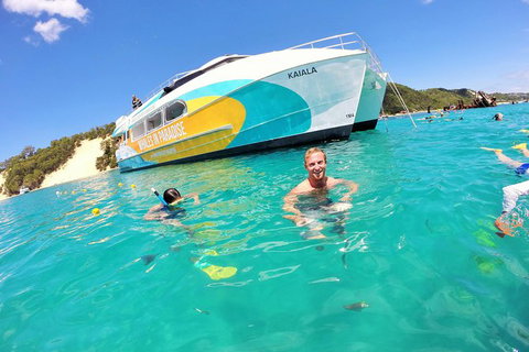 All Inclusive Dolphin And Tangalooma Wrecks Cruise - Newcastle Accommodation 0