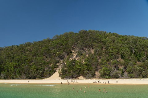 All Inclusive Dolphin And Tangalooma Wrecks Cruise - Newcastle Accommodation 4