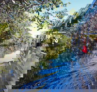 Serenity Cruise to Australia's Everglades - Newcastle Accommodation