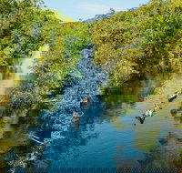 Cruise 'n' Canoe to Australia's Everglades - Newcastle Accommodation