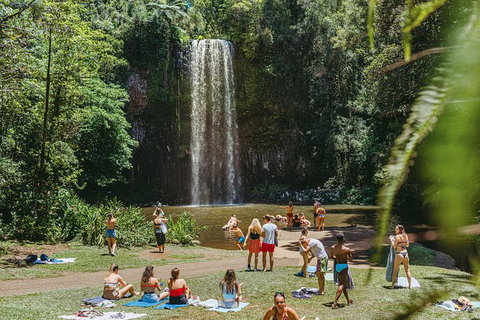 Atherton Tablelands Waterfalls And Rainforest Day Tour Departing Cairns - Newcastle Accommodation 4