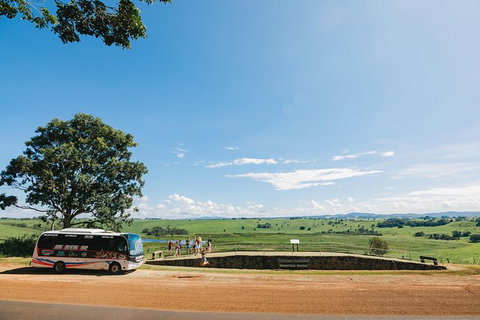 Atherton Tablelands Waterfalls And Rainforest Day Tour Departing Cairns - Newcastle Accommodation 9
