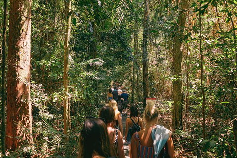Atherton Tablelands Waterfalls And Rainforest Day Tour Departing Cairns - Newcastle Accommodation 10
