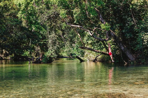 Atherton Tablelands Waterfalls And Rainforest Day Tour Departing Cairns - Newcastle Accommodation 3