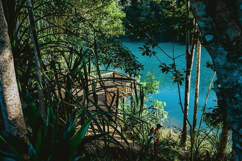 Atherton Tablelands Waterfalls And Rainforest Day Tour Departing Cairns - Newcastle Accommodation 5