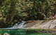Atherton Tablelands Waterfalls And Rainforest Day Tour Departing Cairns - thumb 8
