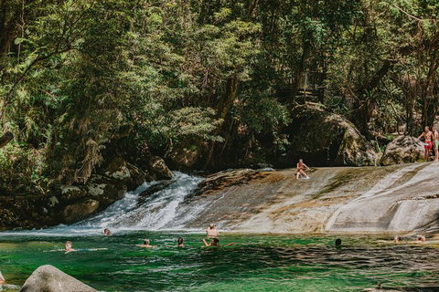 Atherton Tablelands Waterfalls And Rainforest Day Tour Departing Cairns - Newcastle Accommodation 8