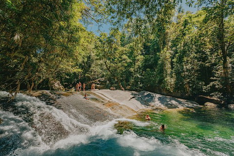Atherton Tablelands Waterfalls And Rainforest Day Tour Departing Cairns - Newcastle Accommodation 0