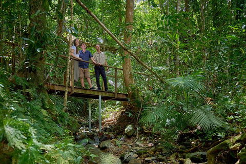 Daintree And Cape Tribulation Tour From Cairns - New Castle Tourism 3