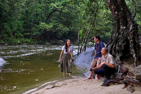 Daintree And Cape Tribulation Tour From Cairns - New Castle Tourism 2