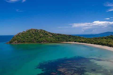 Daintree And Cape Tribulation Tour From Cairns - New Castle Tourism 7