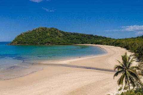 Daintree And Cape Tribulation Tour From Cairns - New Castle Tourism 8