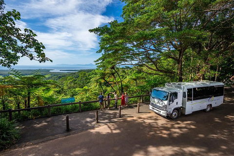 Daintree And Cape Tribulation Tour From Cairns - New Castle Tourism 5