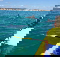 Kayak with Dolphins and 4WD Great Beach Drive Day Trip from Noosa - Newcastle Accommodation