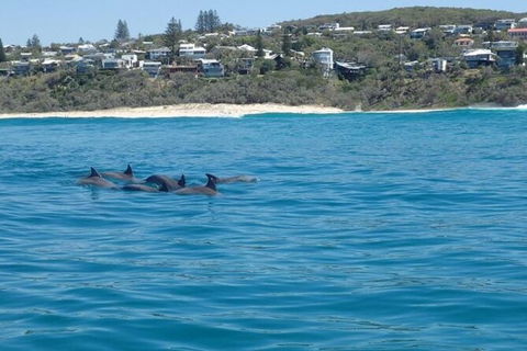 Noosa Thriller - 500hp Ocean Adventure Ride - New Castle Tourism 5