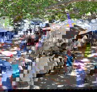 Sunshine Coast Eumundi Markets Return Minibus Transfer - Newcastle Accommodation