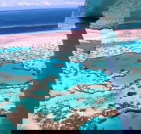 8-Day Cairns Tour Great Barrier Reef Kuranda Daintree Rainforest - Newcastle Accommodation