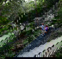 4-Day Cairns with Great Barrier Reef and Daintree Rainforest - Newcastle Accommodation