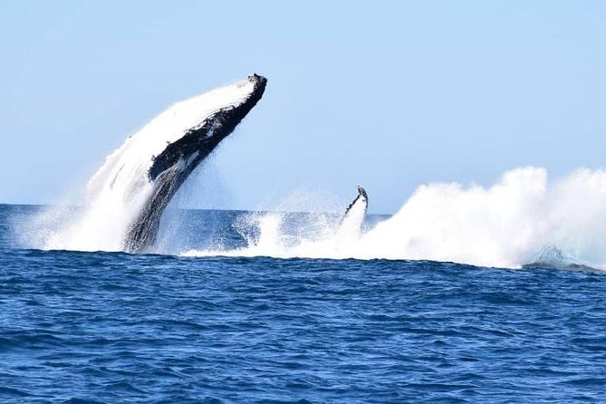 Noosa QLD Newcastle Accommodation